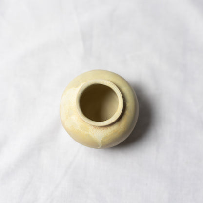 Mini Bud Vase in Sea Salt